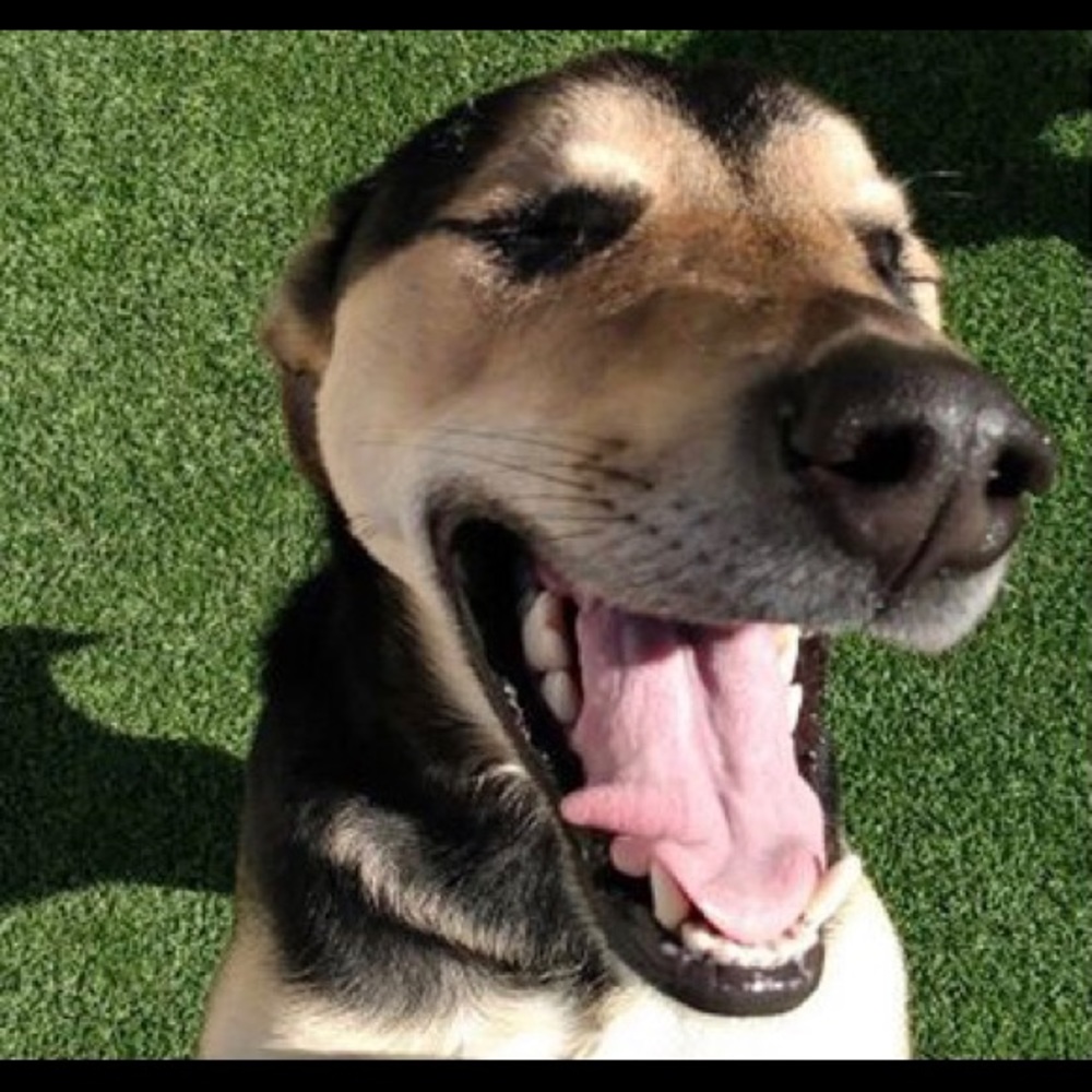 Meet your Posher, Catherine